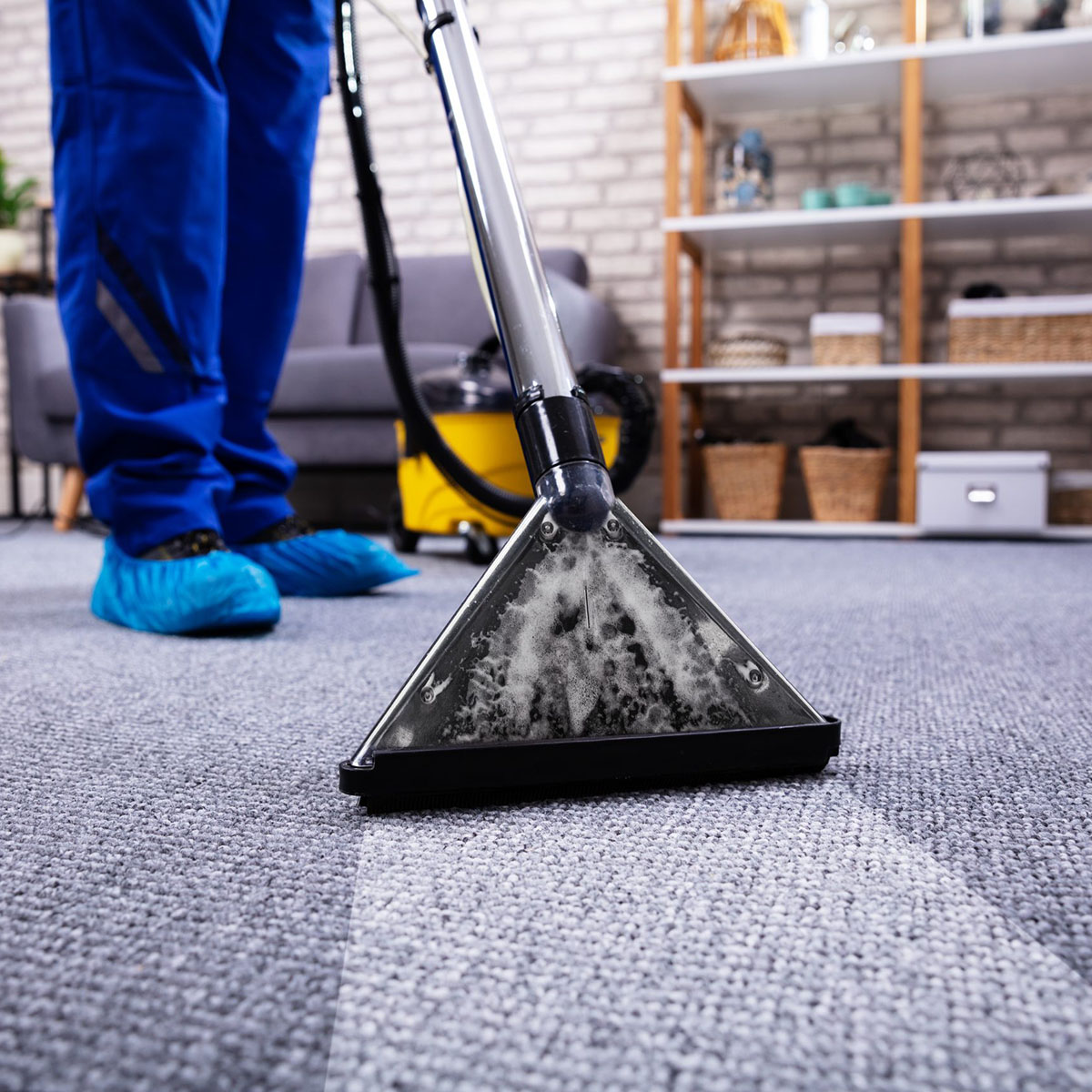 carpet cleaning